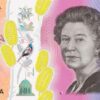 Comprar billetes falsos